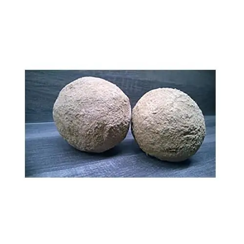 NATURAL AQUATIC Clayballs - Argilla fermentata con Batteri per filtro